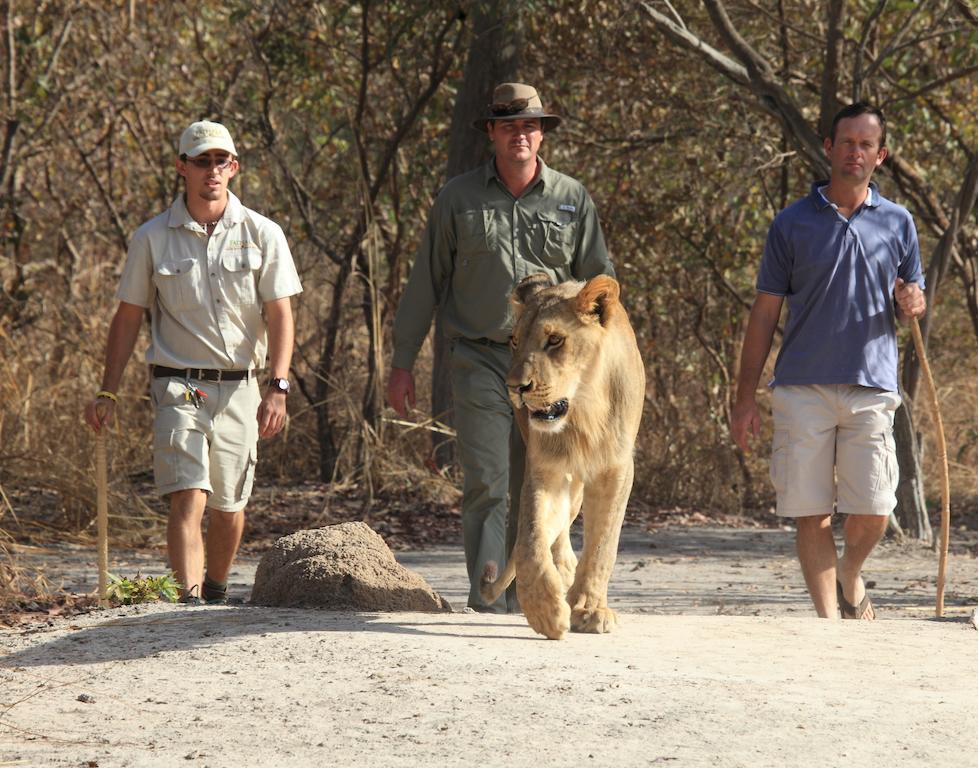 Fathala Wildlife Reserve Toubakouta Exterior foto