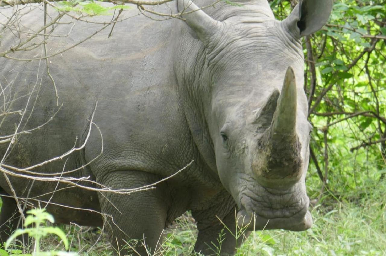 Fathala Wildlife Reserve Toubakouta Exterior foto